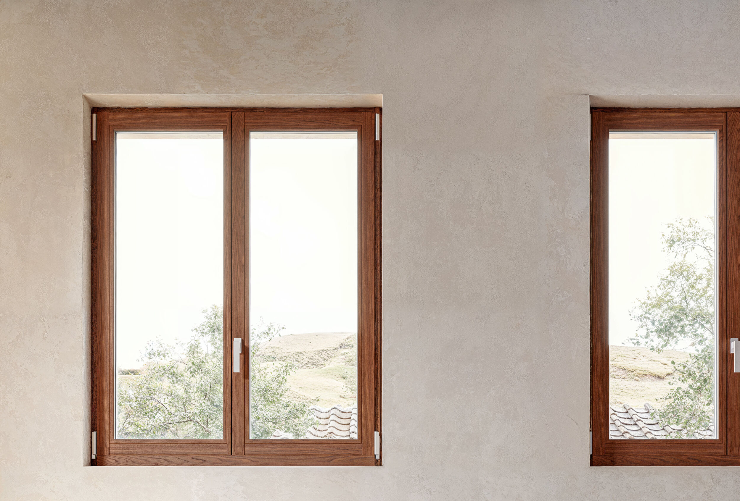 Lignum